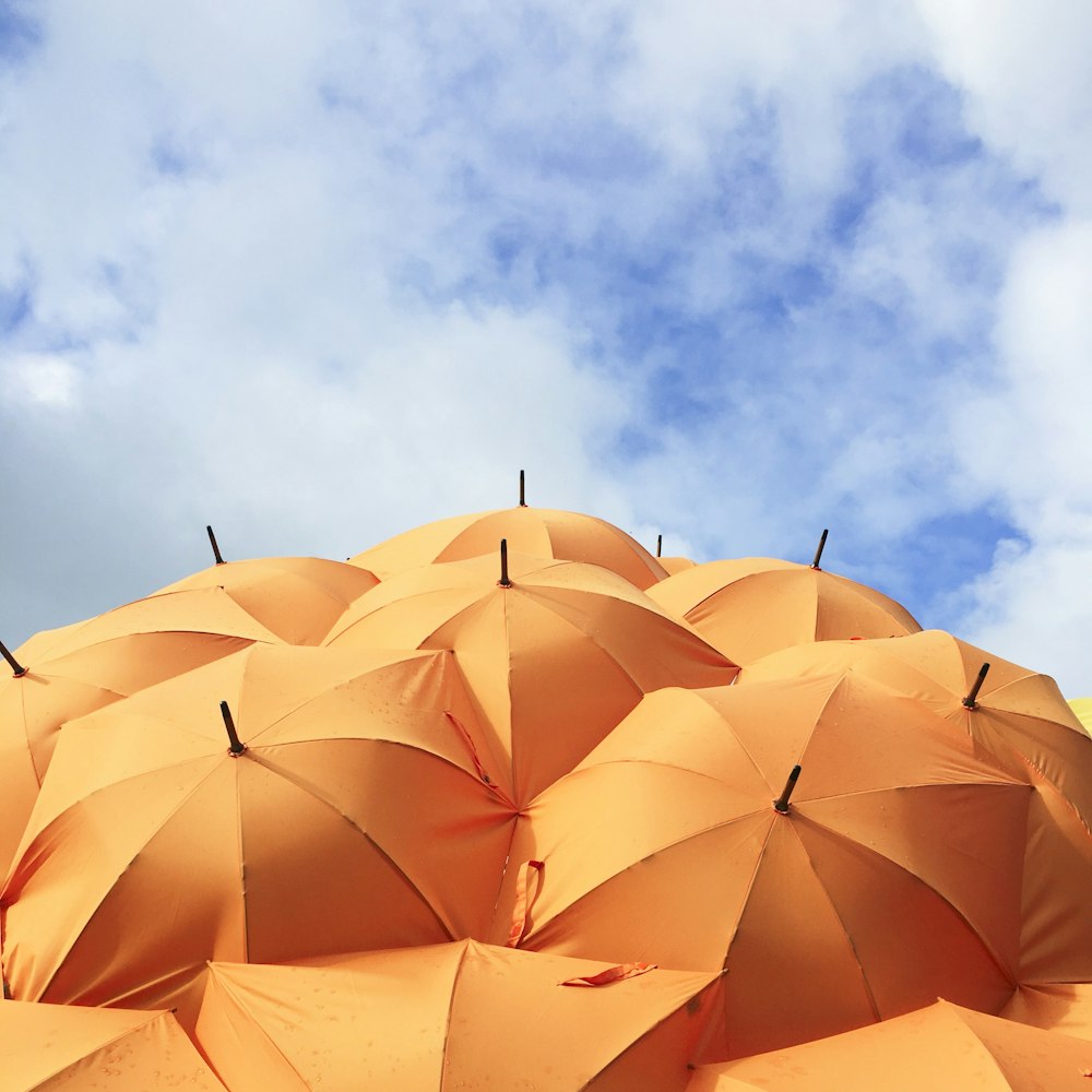 orange umbrella lot