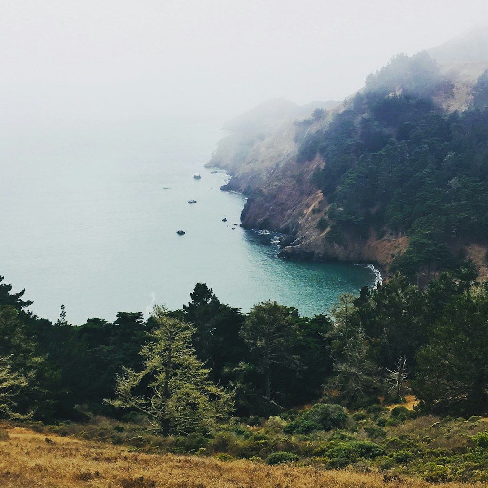 Bosque con vista al cuerpo de agua