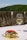 A gourmet dish featuring a lobster on top of seasoned fish and greens, elegantly plated with a creamy sauce. A glass of white wine accompanies the meal, set against an outdoor backdrop with blurred foliage and a stone railing.