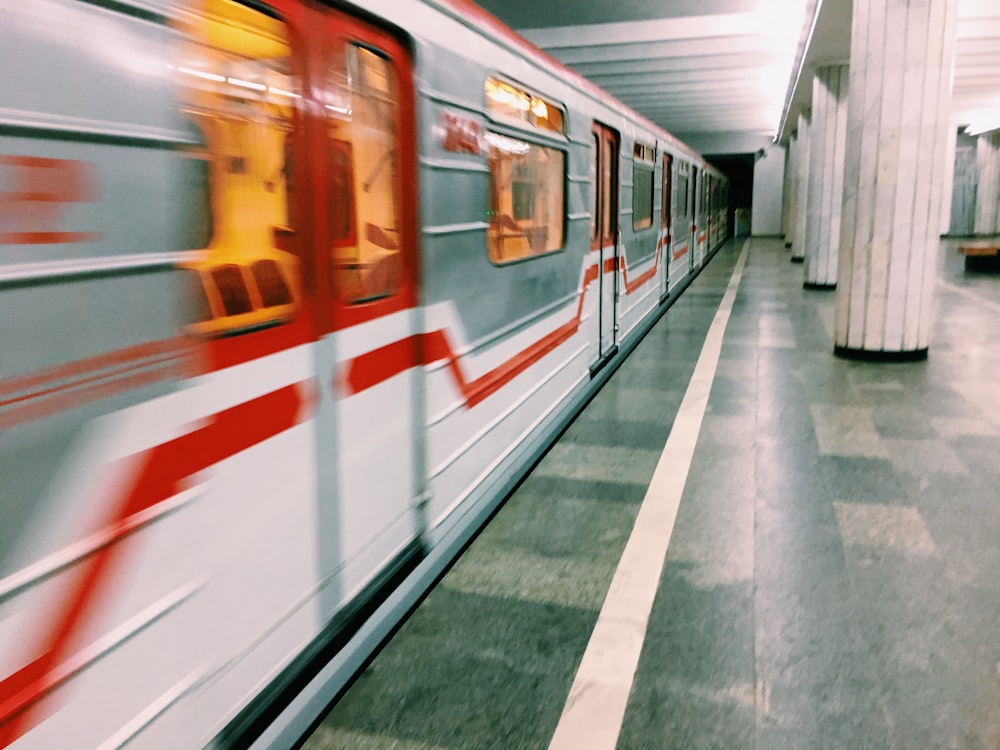 white and gray train on train station