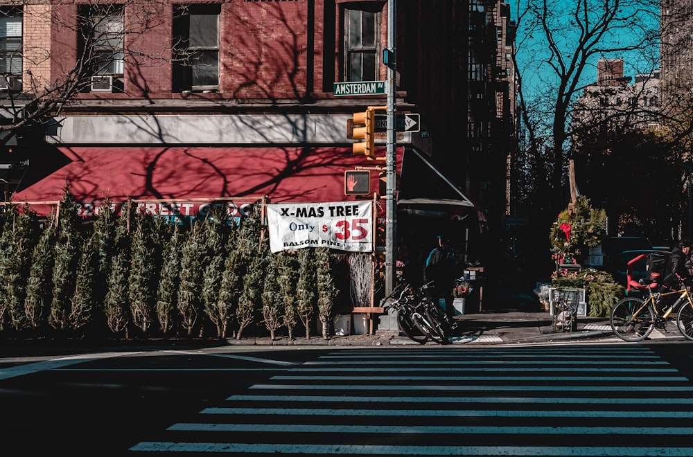 pedestrian lane photo