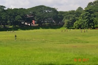 Participants enjoying outdoor group activities on an open field.
