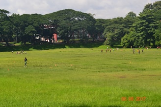 A spacious multi-purpose sports field with people engaging in various activities.