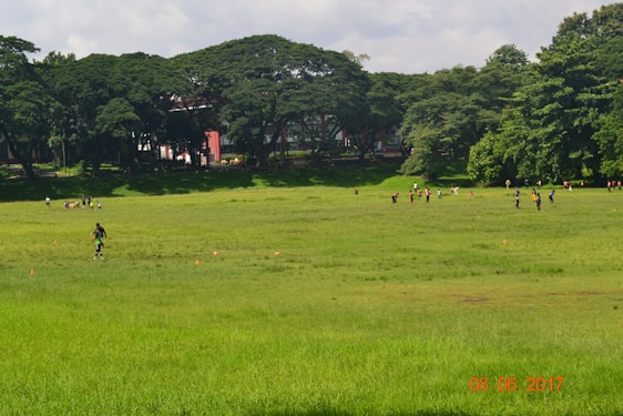 Community sports event with diverse participants engaging in outdoor activities under clear skies.