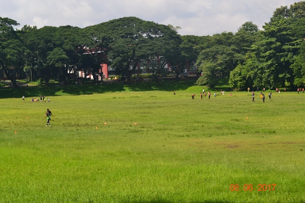 A spacious multi-purpose sports field with people engaging in various activities.