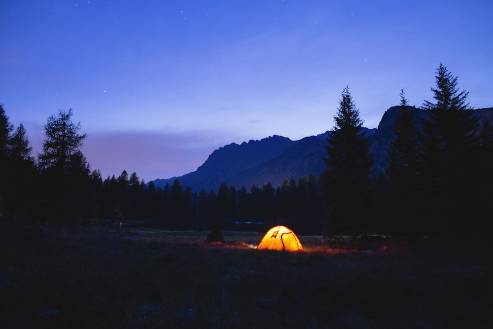 orange dome tent surrounded by silhouette of trees at blue hour