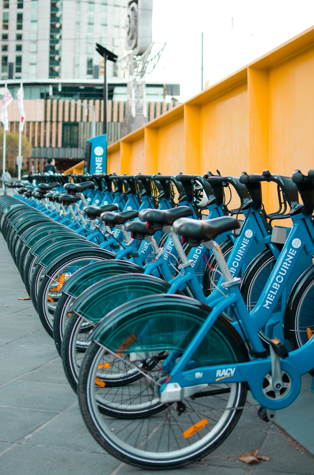 parked bicycles