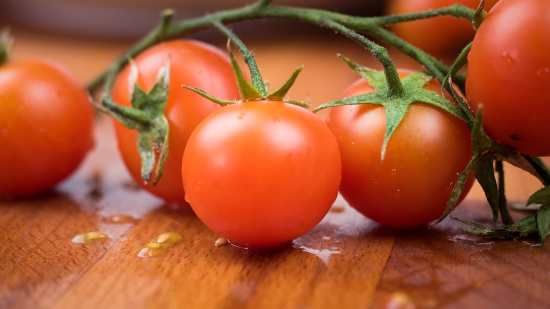 tomatoes on the vine on a counter
