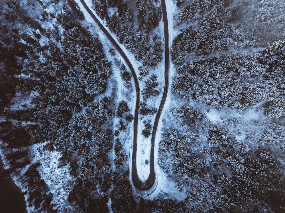 bird's-eye view of snow covered road