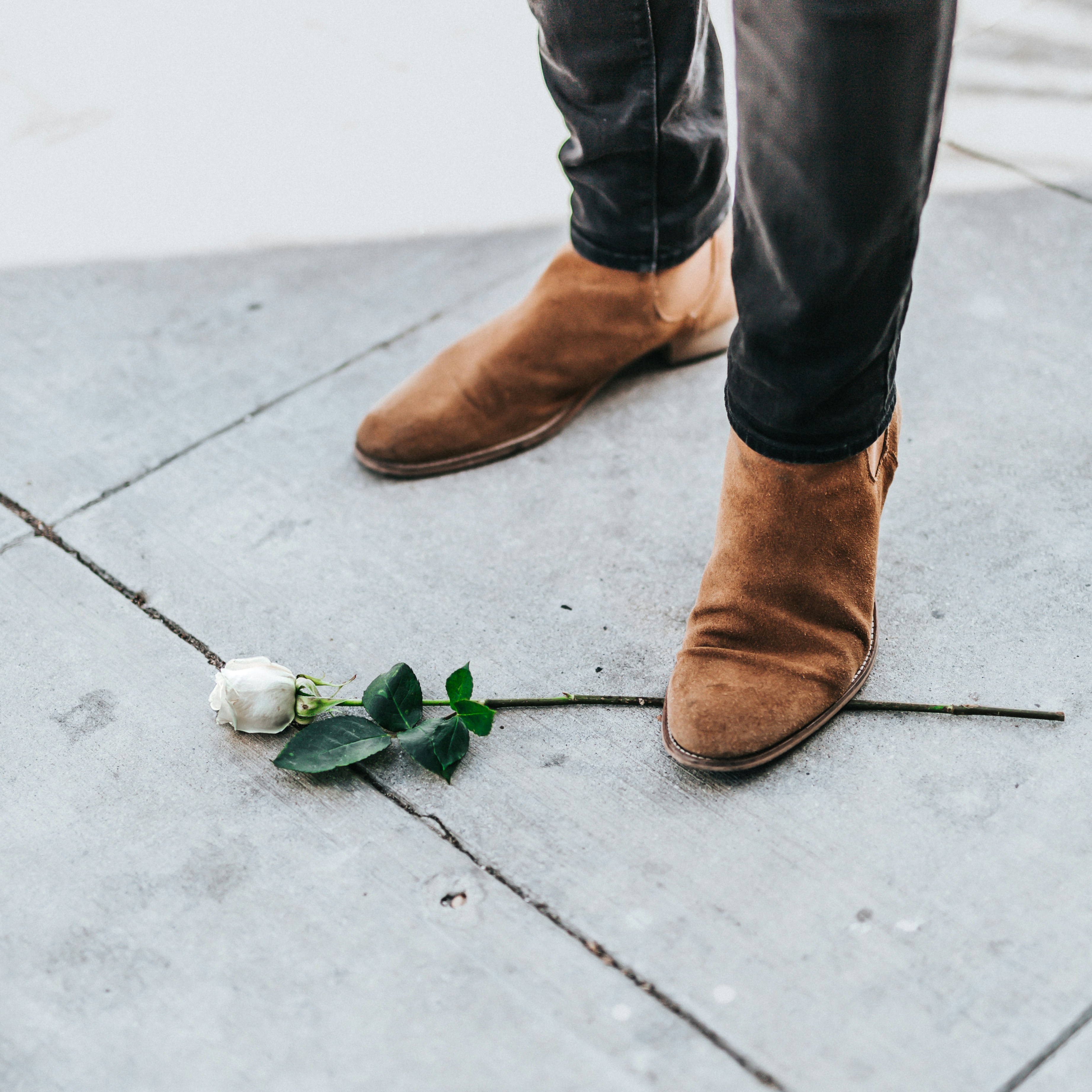 Keep it simple and earthy with a brown background from Unsplash. All of our images are beautiful, curated, and free to download. Welcome to the future.