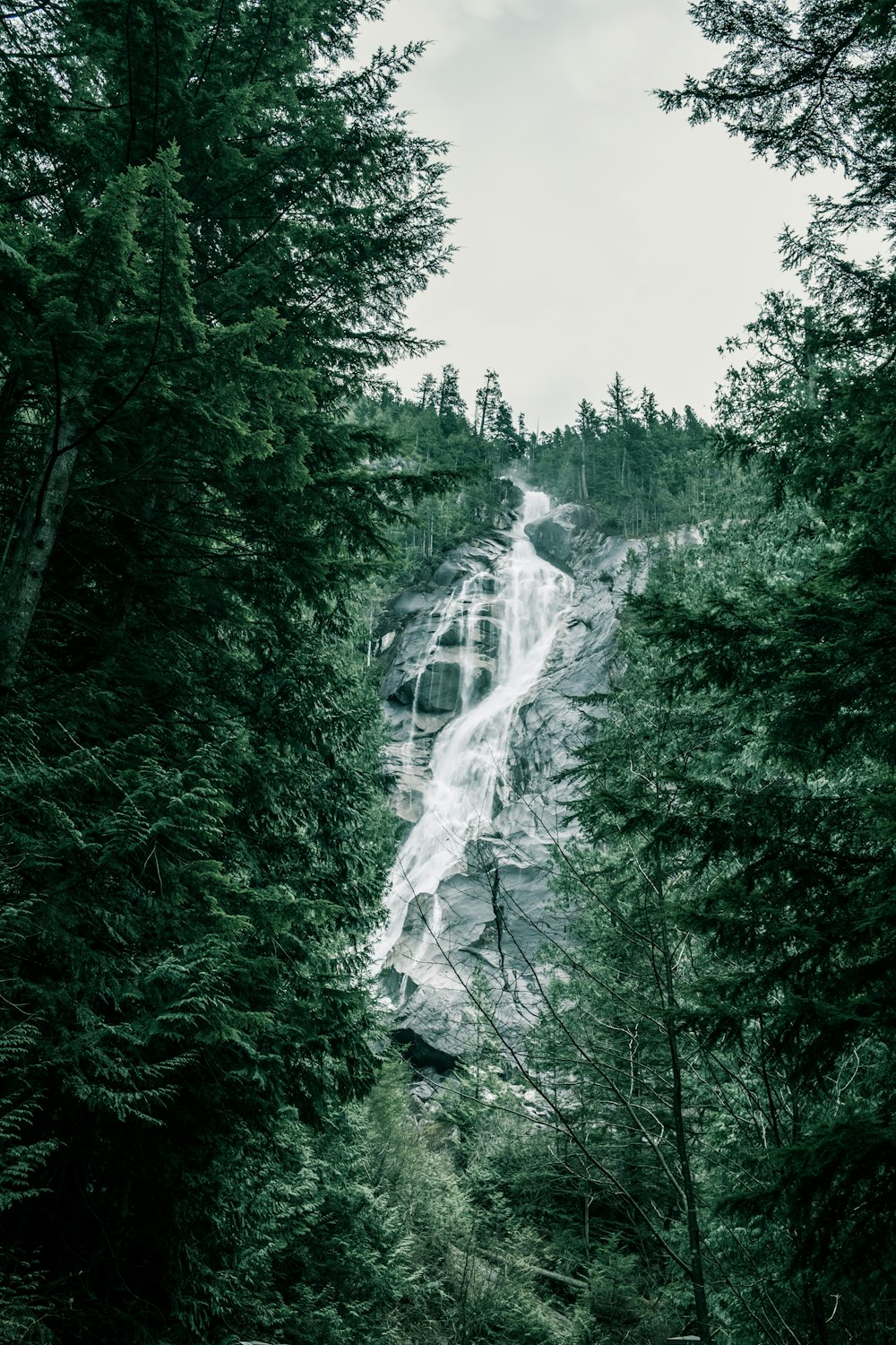 山から流れ落ちる滝