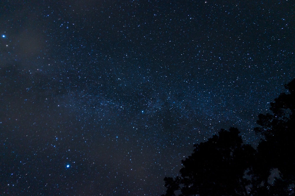 stars in the sky at night time