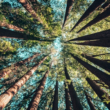 Cover Image for Healthy Masculinity // Tower Hour Salon Series