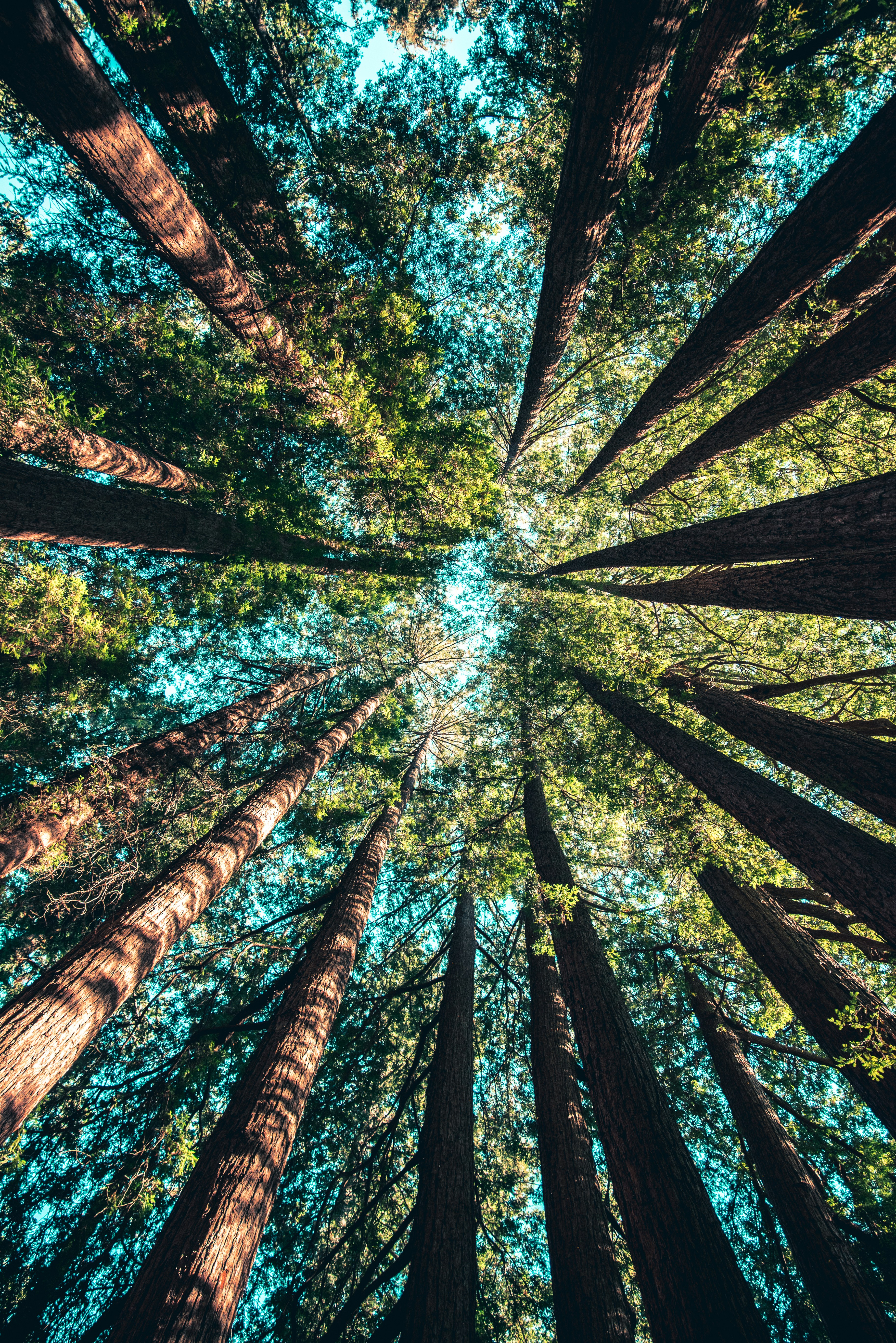 Selecting an Eco-Friendly Laundry Machine