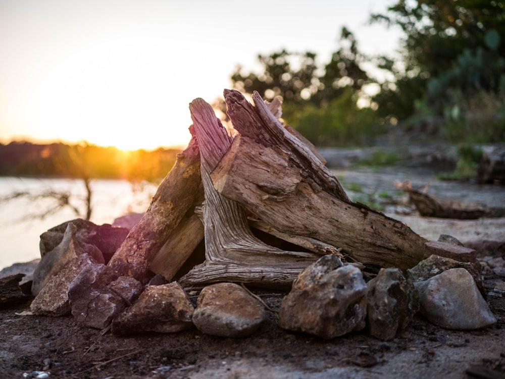 brown firewood surrounded by stones