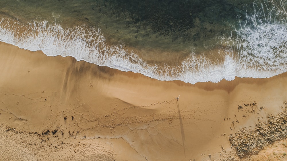 person walking near seashore