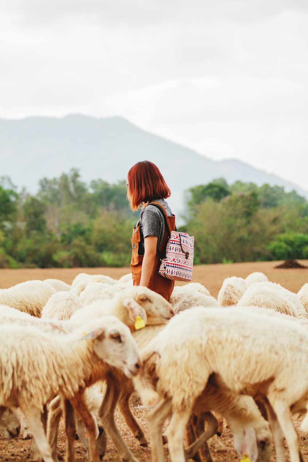 woman surrounded by sheep under cloudy sky