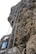 A tall metal ladder is anchored to a rocky cliff, extending vertically from the ground to the top of the rock face. There are some signs attached to the ladder, displaying text in a foreign language. The rocky cliff is rugged and textured, appearing both steep and imposing.