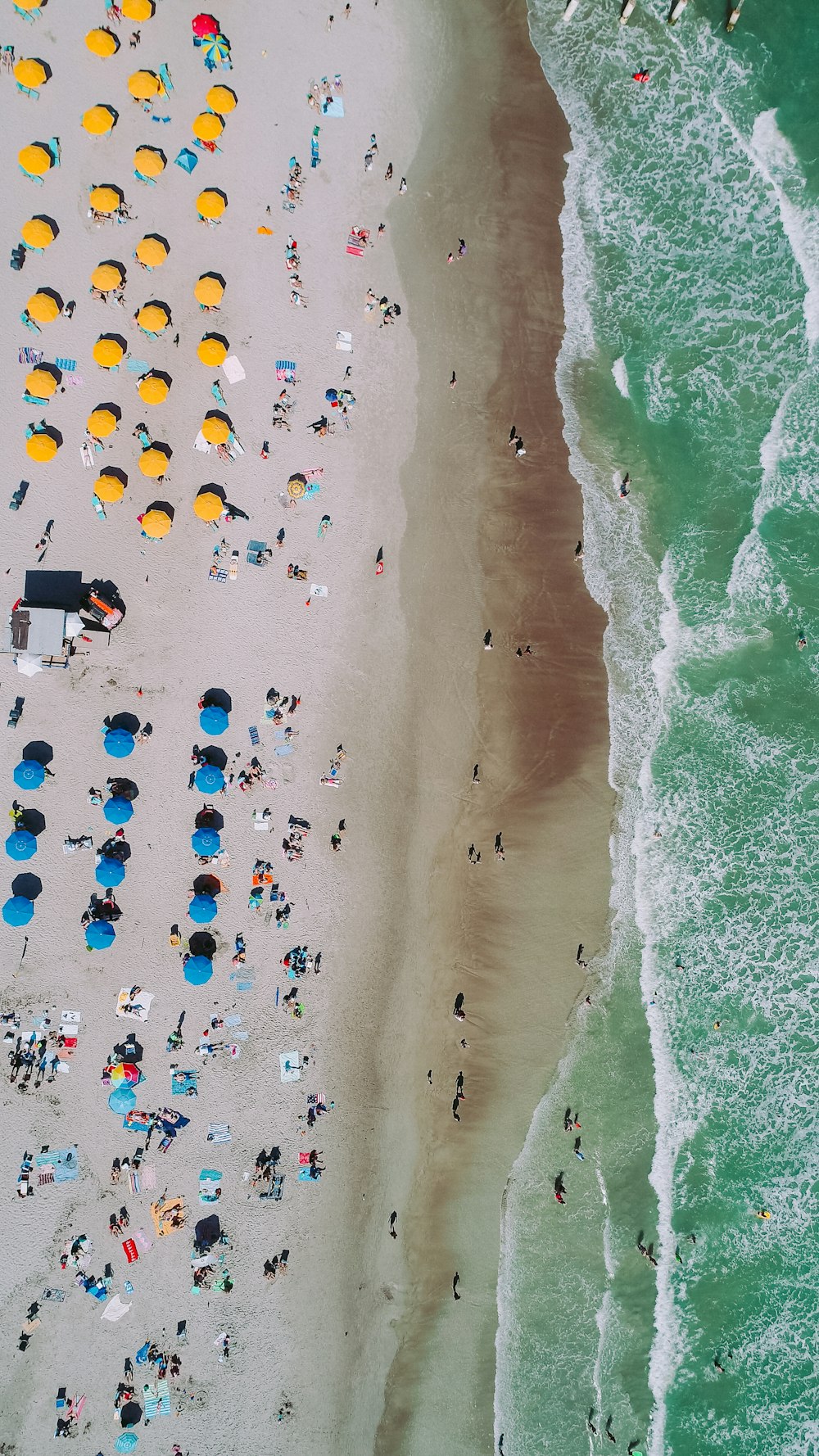 aerial photo of seashore with people