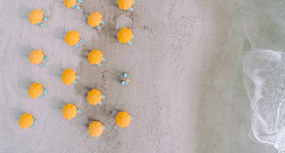 yellow umbrellas on seashore