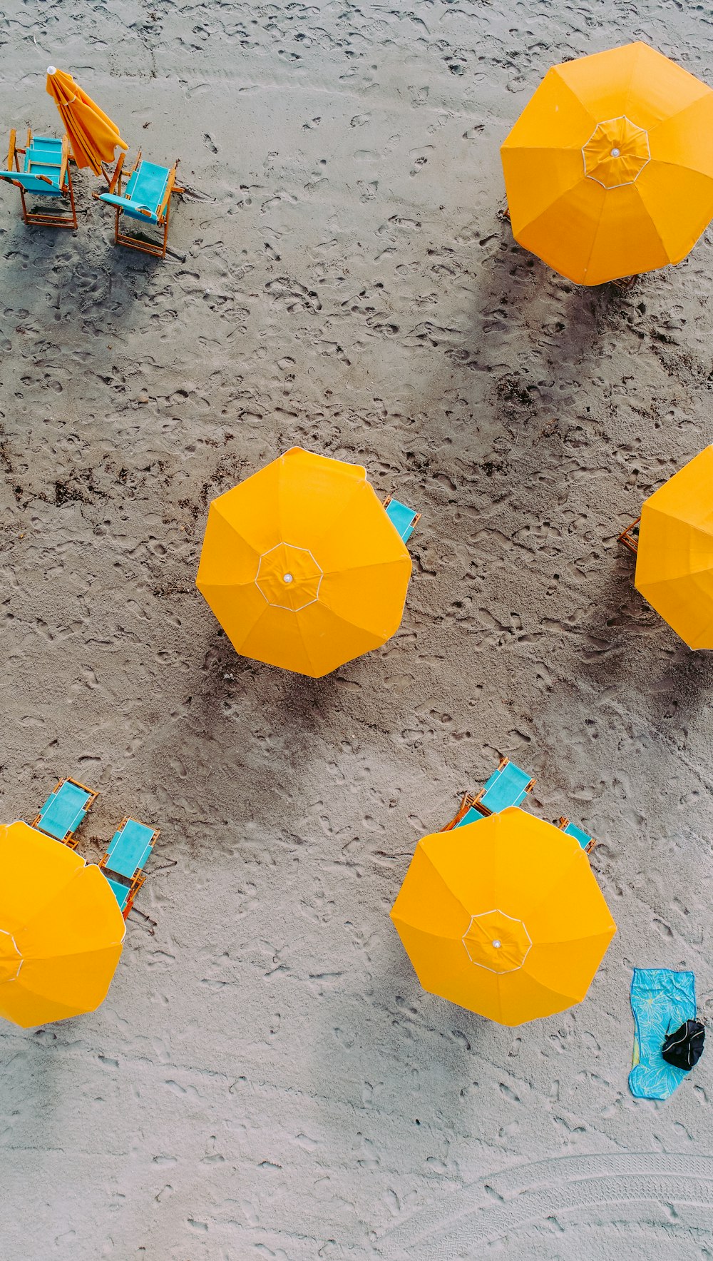 낮에 모래 위에 노란 우산 다섯 개