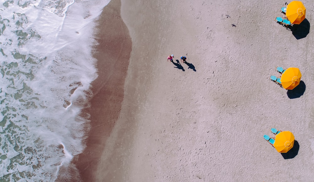 aerial photo of people on beach