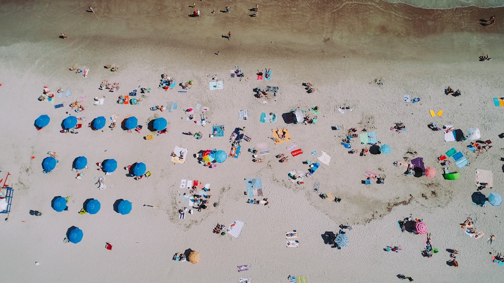 Fotografía aérea de personas en la orilla del mar cerca de sombrillas
