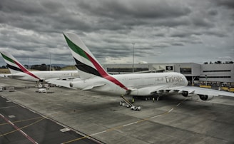 Two large commercial airplanes with Emirates branding are parked at an airport gate under a cloudy sky. The aircraft are connected to jet bridges, and various ground service vehicles and personnel are positioned around them. The scene conveys a typical airport setting with overcast weather.