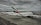 Two large commercial airplanes with Emirates branding are parked at an airport gate under a cloudy sky. The aircraft are connected to jet bridges, and various ground service vehicles and personnel are positioned around them. The scene conveys a typical airport setting with overcast weather.