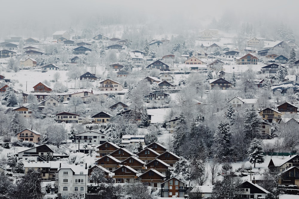 aerial view of village covered with snow