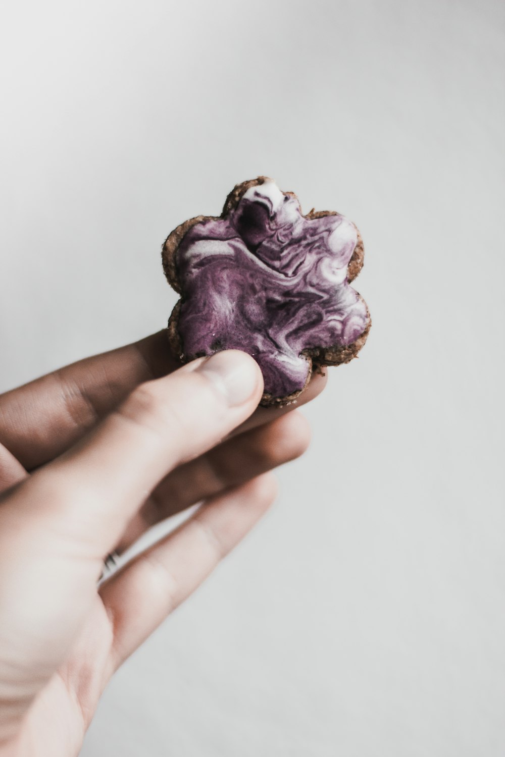 person holding baked cookie