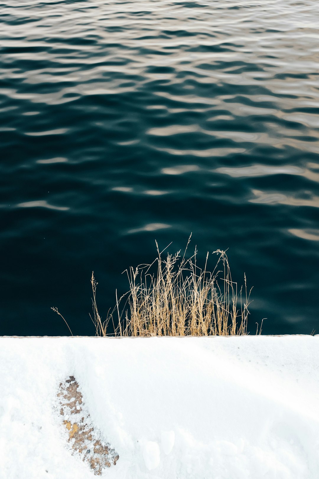 Ocean photo spot Oslo Kirsten Flagstads Plass 1