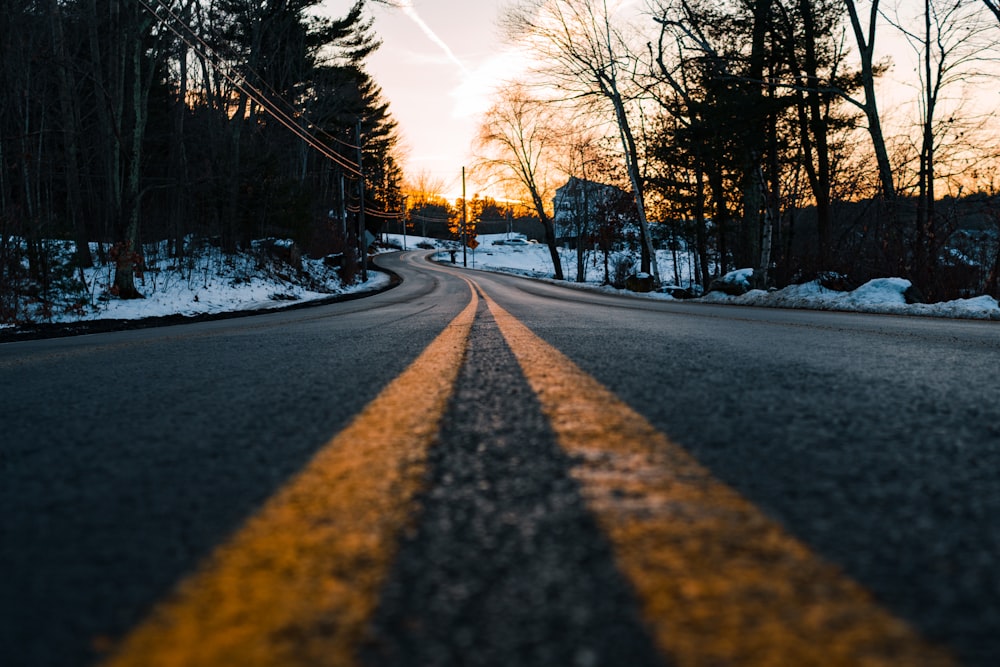 photography of concrete road with snow and tree surround it