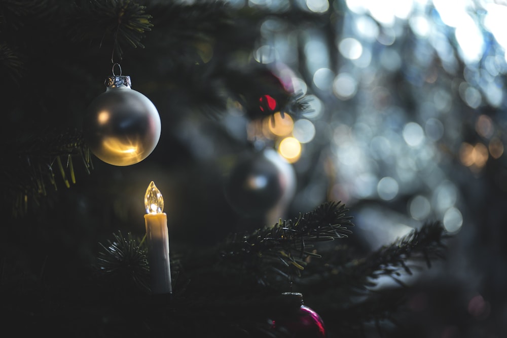 hanging bauble at tree