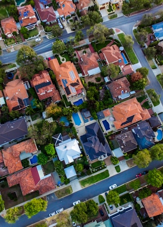 top view photo of houses