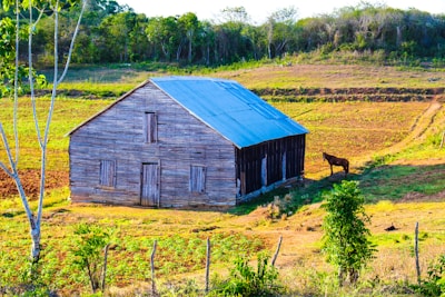 A rustic wooden barn stands in the middle of a field with a tin roof and simple, weathered wooden doors. Surrounding the barn, the field is a patchwork of greens and browns, suggesting recently tilled soil or new growth. A lone horse is standing near the barn, adding life to the otherwise tranquil rural setting. In the background, a dense line of trees marks the edge of the field.