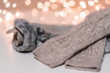 two grey and brown apparel bokeh photography