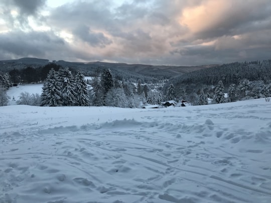 snow field in Stützerbach Germany