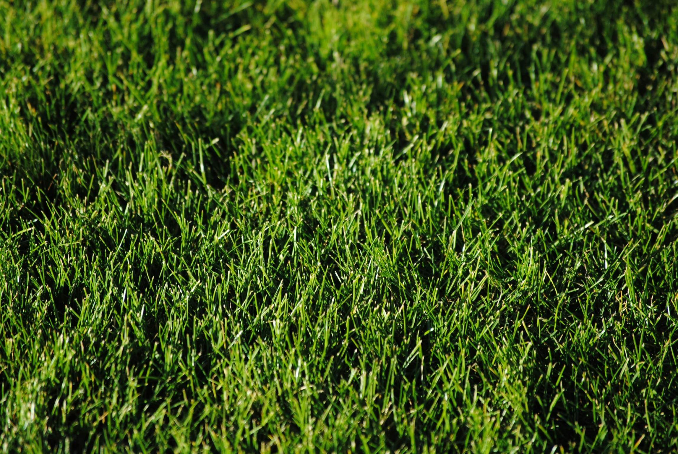 Tackling Toro Zero Turn Safety Switch Problems Troubleshooting Tips