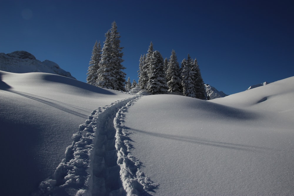 hill covered with snow