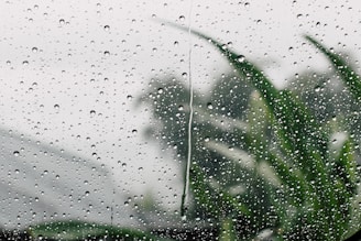 shallow focus photography of rain drop on glass