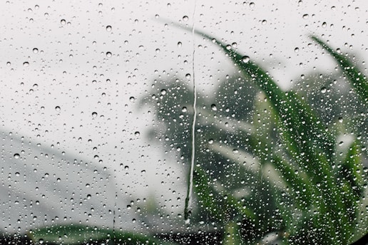 shallow focus photography of rain drop on glass