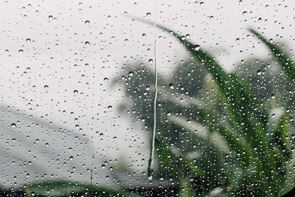 Photographie à mise au point peu profonde de goutte de pluie sur verre