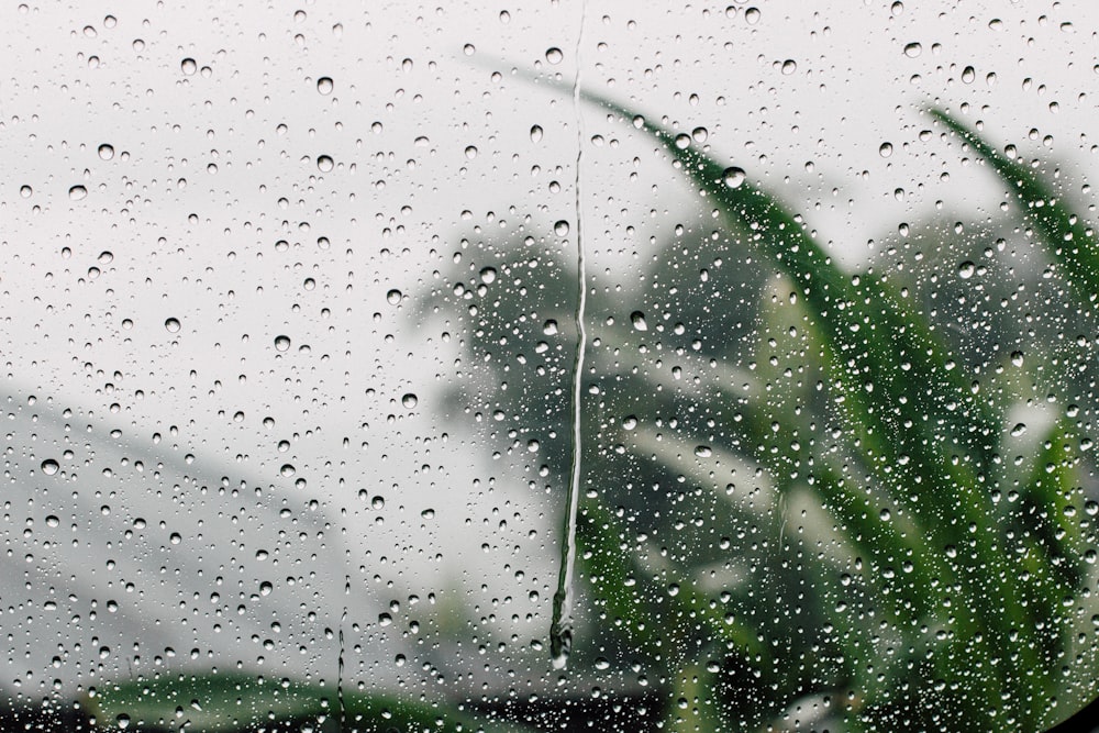 shallow focus photography of rain drop on glass