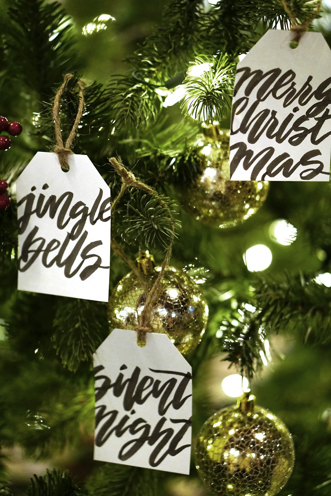 Evergreen & Gifts's image