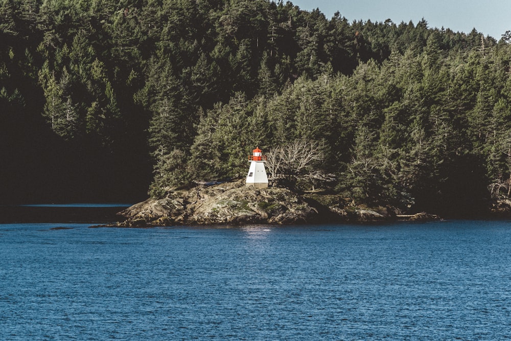 white and red lighthouse during daytime