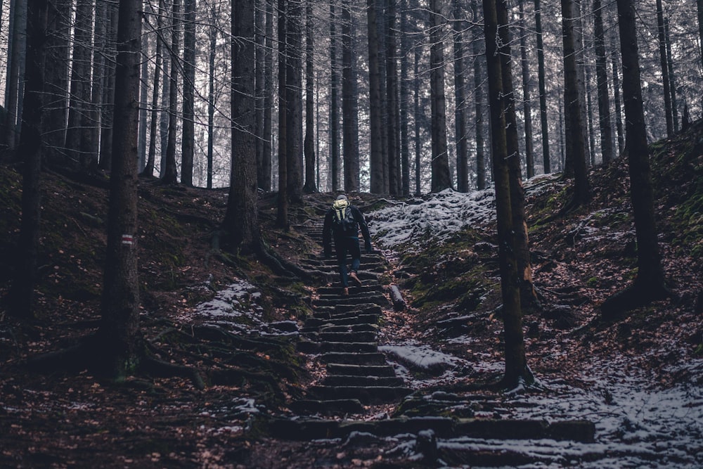pessoa subindo escadas no meio da floresta