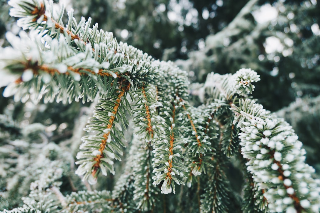 https://unsplash.com/photos/S6e-Uv3WNVo