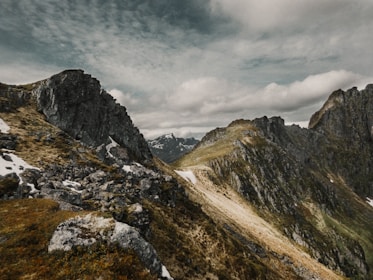 A rugged landscape of Yellowstone with wildflowers and open skies, hinting at the natural origins of the skincare.