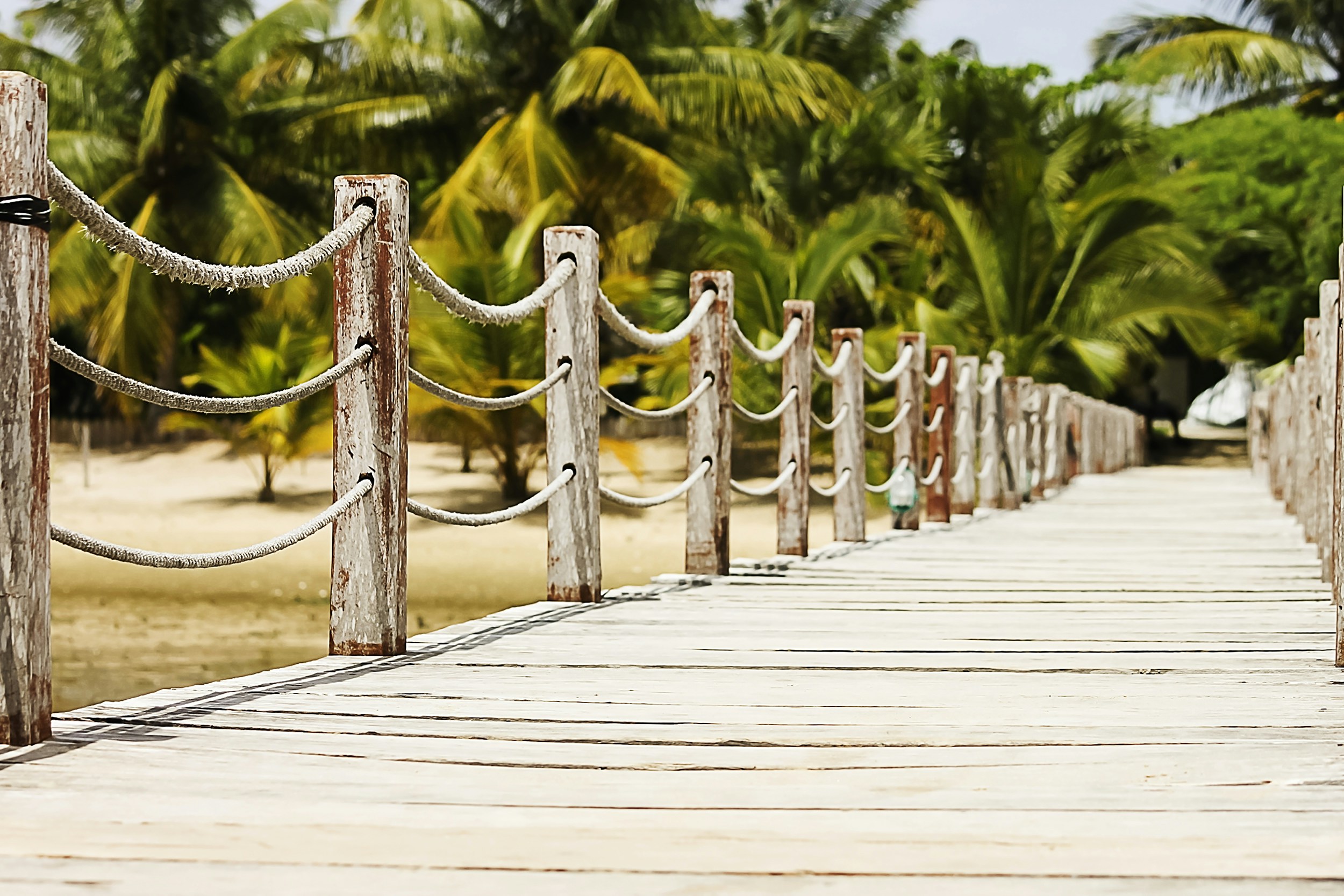 brown dock photography during daytime angola teams background